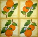 170 Lemons,  Oranges - 3-ply